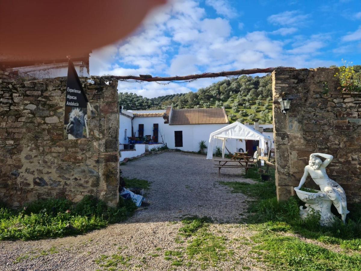 Apartament Experience Alpacas In Andalucia Kordoba Zewnętrze zdjęcie