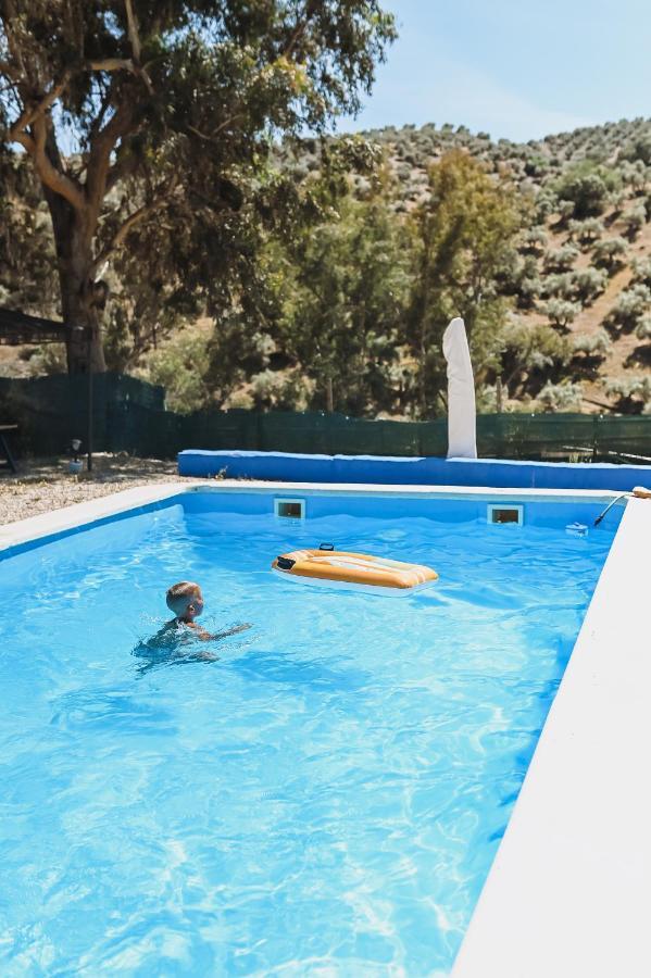 Apartament Experience Alpacas In Andalucia Kordoba Zewnętrze zdjęcie