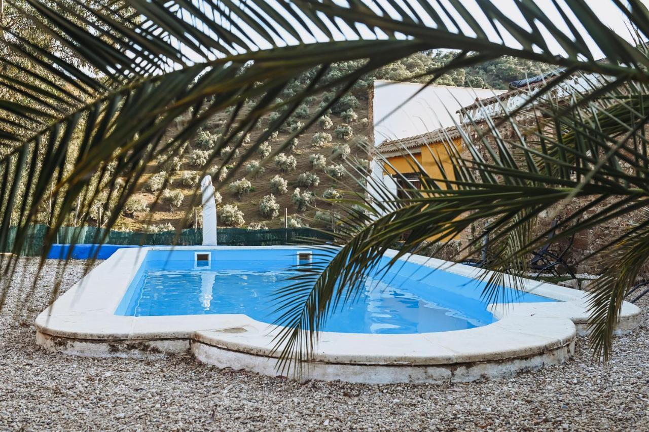 Apartament Experience Alpacas In Andalucia Kordoba Zewnętrze zdjęcie