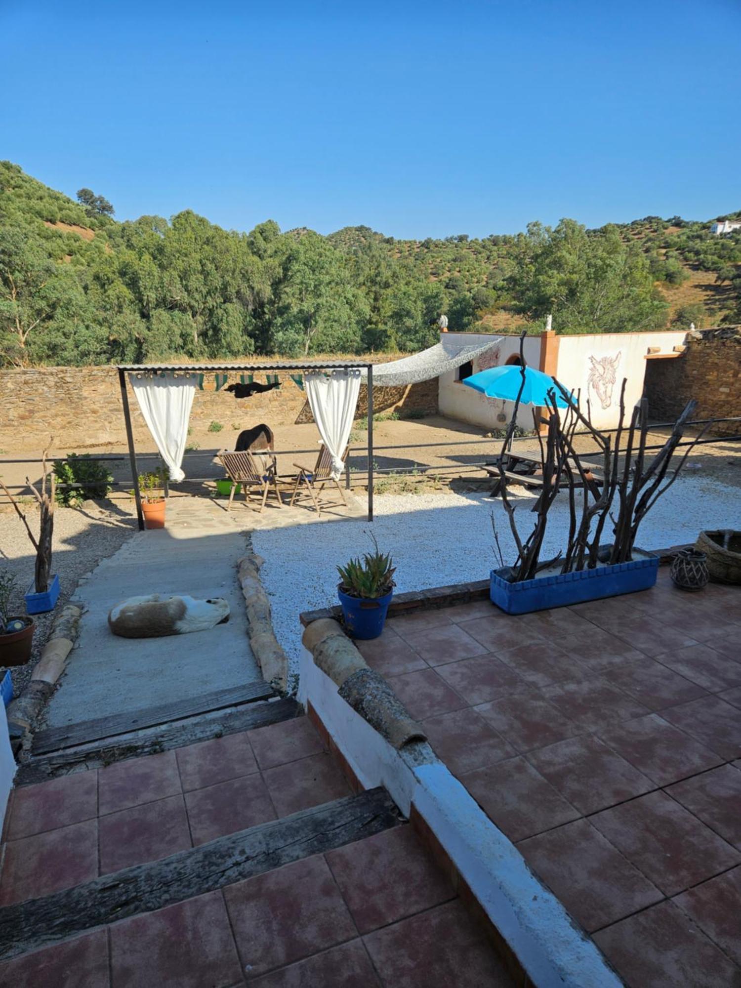 Apartament Experience Alpacas In Andalucia Kordoba Zewnętrze zdjęcie