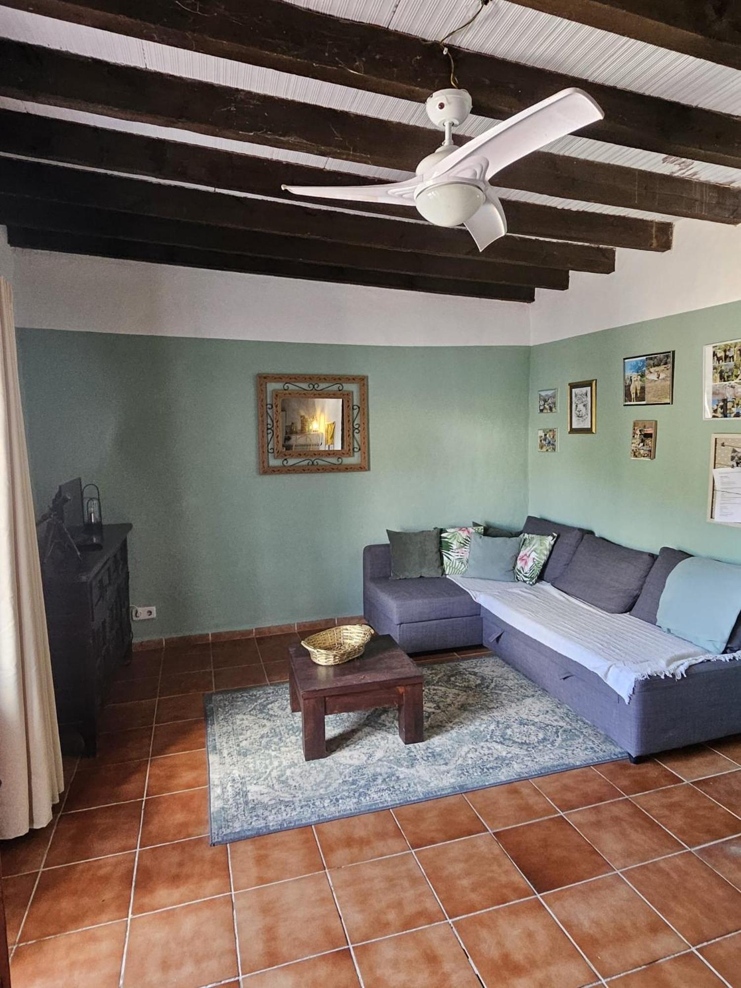 Apartament Experience Alpacas In Andalucia Kordoba Zewnętrze zdjęcie
