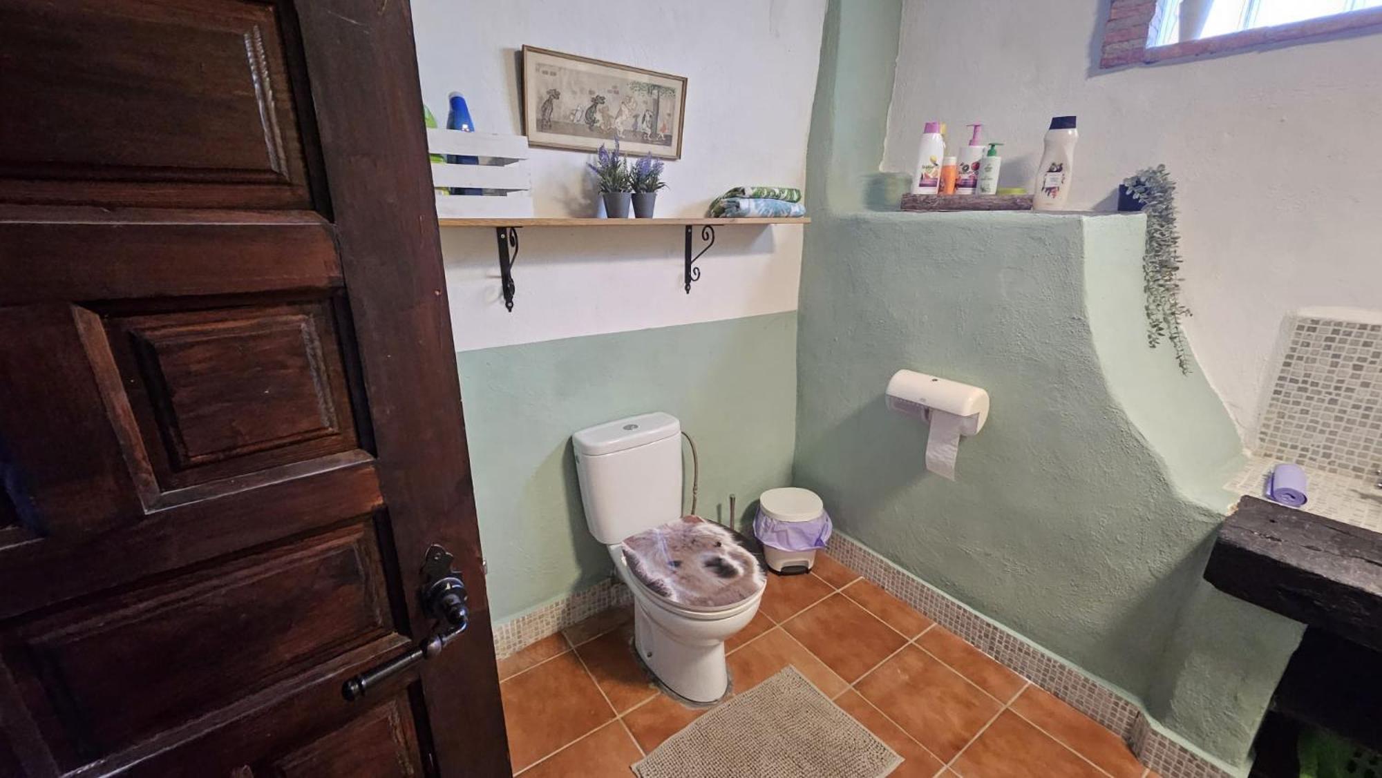 Apartament Experience Alpacas In Andalucia Kordoba Zewnętrze zdjęcie